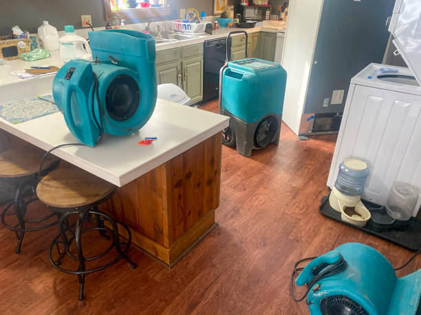 Best Sewage cleanup and water damage restoration  in Darlington, WI
