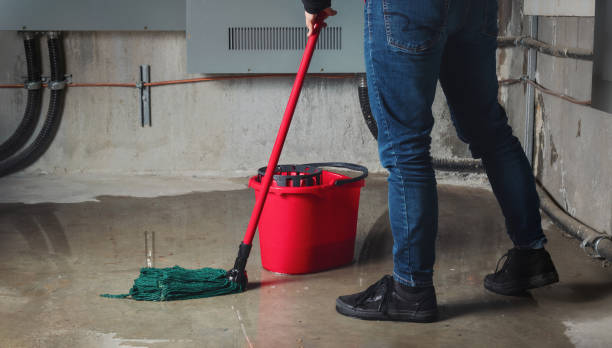 Best Fire Damage Restoration  in Darlington, WI