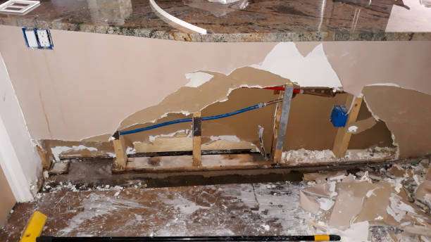 Best Professional water damage repair  in Darlington, WI