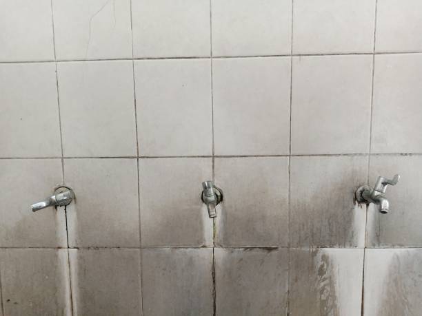 Best Water damage restoration cost  in Darlington, WI