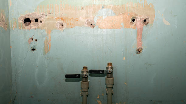 Best Water damage restoration near me  in Darlington, WI