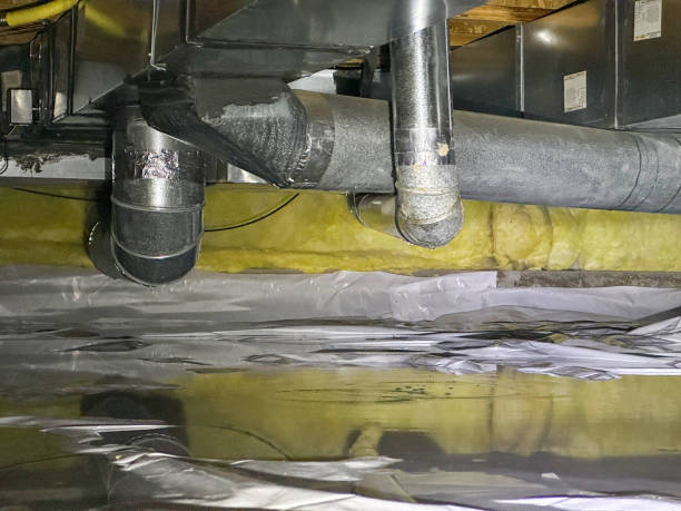 Carpet water damage restoration in WI