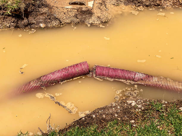 Best Water damage cleanup near me  in Darlington, WI