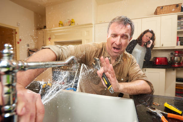 Best Ceiling water damage repair  in Darlington, WI